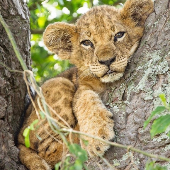 ✨ GroundUp Africa ✨ - Picture 5 of 7